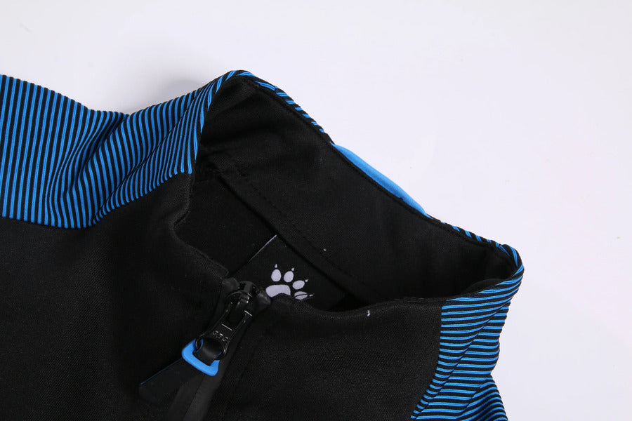 Campera con cierre 3871300-020 Black Neon Blue
